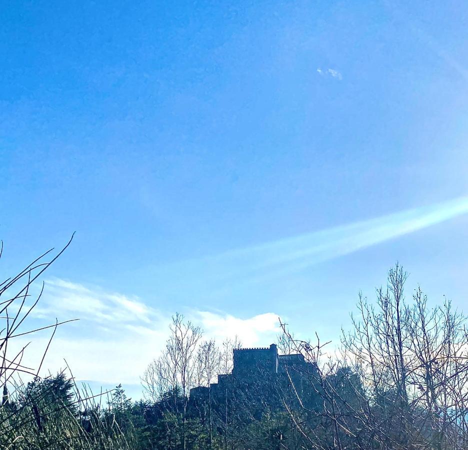 La Ginestra B&B フォズディノーヴォ エクステリア 写真