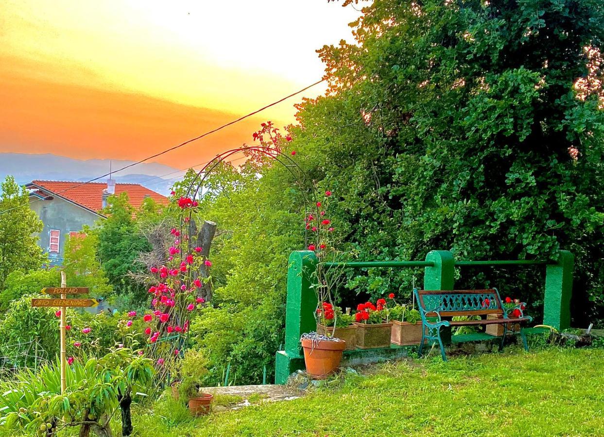 La Ginestra B&B フォズディノーヴォ エクステリア 写真