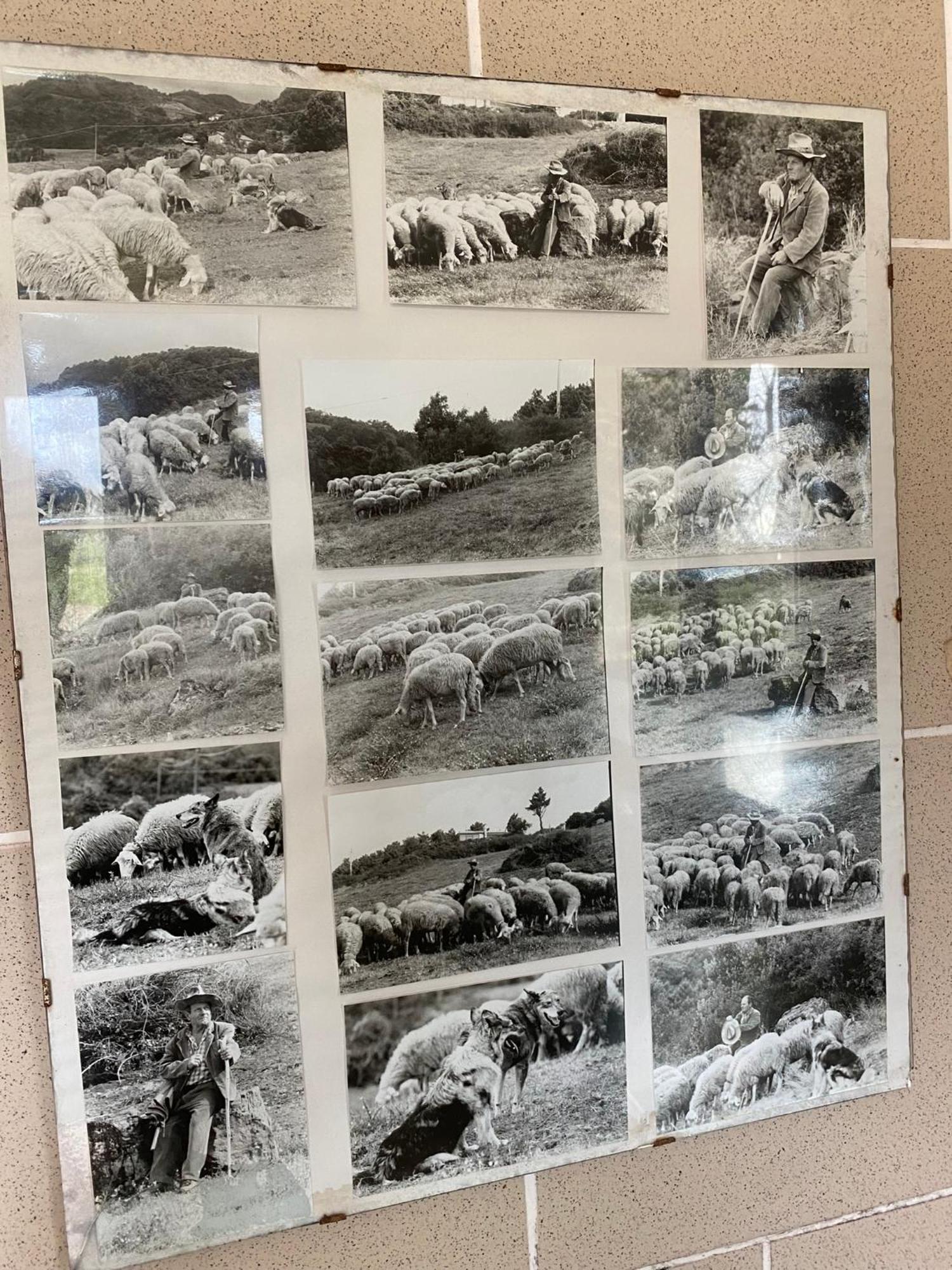 La Ginestra B&B フォズディノーヴォ エクステリア 写真