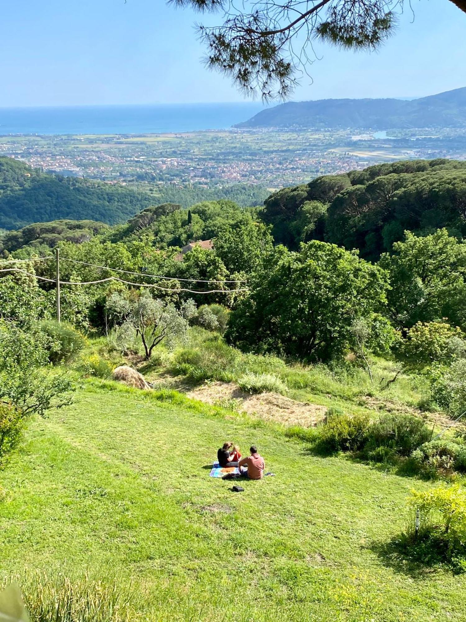La Ginestra B&B フォズディノーヴォ エクステリア 写真