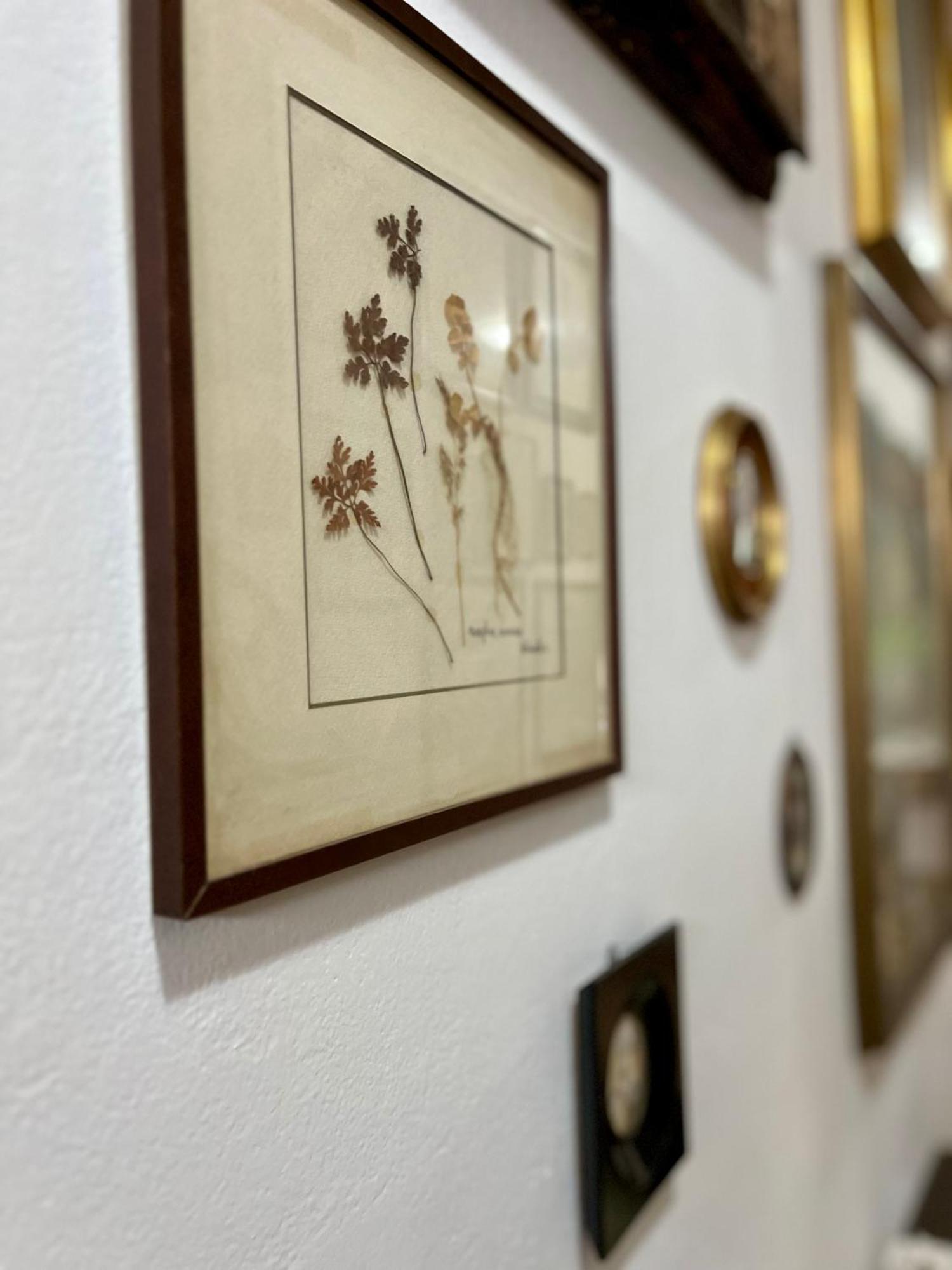 La Ginestra B&B フォズディノーヴォ エクステリア 写真
